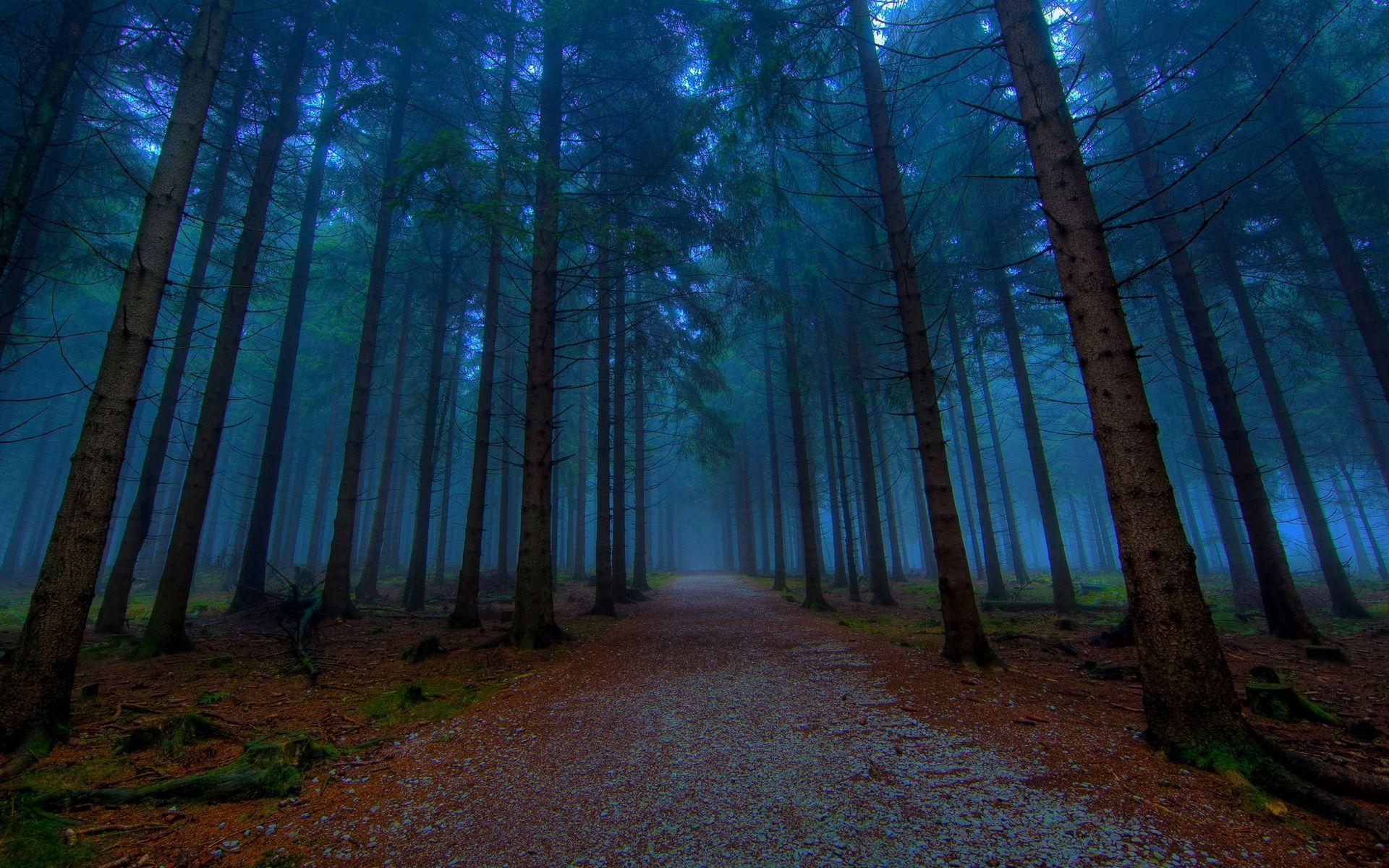 Banner 1